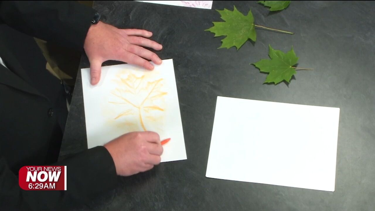 JAMPD shows how to identify trees by their leaves